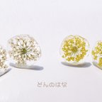 作品小花の氷ピアス