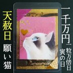 作品【✨1点物✨】にゃんこ 招き猫  猫 白蛇 抜け殻 白梟 御守り 春