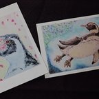 作品ペンギン応援ポストカード　「温帯ペンギン」セット
