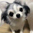 作品愛犬ちゃんそっくり人形:お星さまになったミシェル