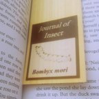 作品蚕のしおり（Journal of Insect）