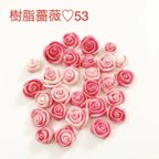 作品樹脂薔薇♡ピンク系53
