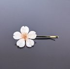 作品【発送可／実物撮影／完成品】Everpink. 本物の桜　こだわりの厳選花で仕上げたヘアピン　髪飾り　ヘッドドレス