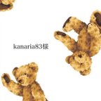 作品kanaria83様専用