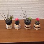 作品♪国産ヒノキ&竹炭のコロリンキューブ♪    花柄リボン