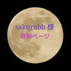 作品灯花堂・sakurabb様 専用ページ 