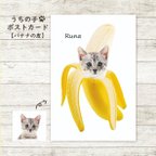 作品【ポストカード】うちの子バナナの皮イラスト＊犬猫フェレット　ペット似顔絵