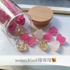 作品waterchisak様専用💐