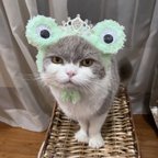 作品カエル姫　🐸　 猫用帽子 犬用帽子