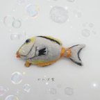 作品【送料無料】お魚ブローチ〜ミヤコテングハギ〜