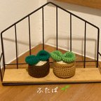 作品🌱  観葉植物 ふたば  🌱