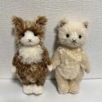 作品【オーダー品】寅次郎14号&寅次郎15号(ねこ・Mサイズ)