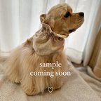 作品coming soon♡ 犬用スヌード