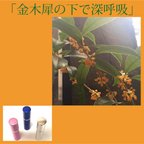 作品お徳用 15ml 金木犀の下で深呼吸 フレグランス 【アロマ、香り】