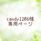 作品candy1206様 専用ページ