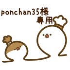 作品ponchan35様専用