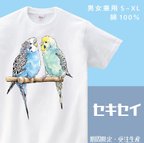 作品セキセイインコTシャツ【受注生産】