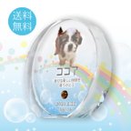 作品【送料無料】クリスタル　ペット位牌／虹　カラー　ペット仏具 　ペット　位牌　供養　犬　猫　可愛い　おしゃれ　人気　オーダーメイド　オリジナル　遺影　手元供養