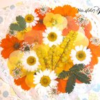 作品♡new♡作家様必見♡押し花MIXセット♡押し花セット