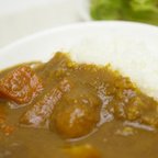 作品無肥料自然栽培野菜を使ったごろごろ具だくさんカレー【レトルトカレー】