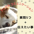 作品質問5つ＋伝えたい事