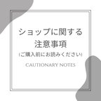 作品【ショップに関する注意事項】