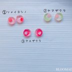 作品桜のピアス(イヤリング)