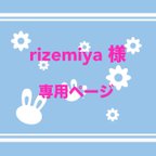 作品rizemiya様専用ページ