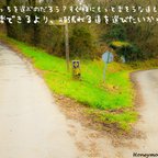 作品⑮【2枚組】サンティアゴ巡礼で集めた写真と拾った言葉