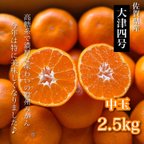 作品佐賀 大津四号 2.5kg (中玉混合) 秀品〜家庭用 マルチ栽培 農園直送 高糖系で濃厚な美味しいみかん