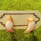 作品ちょこちょこオカメインコイヤリング＆ピアス