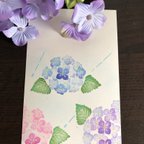 作品小さな紫陽花と雨粒