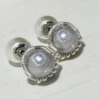 作品316L.colorless pierce/パールキャッチタイプ