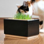 作品猫草ホルダー（無印良品・猫草栽培キット専用）ブラック