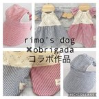 作品犬服　コラボ　　ワンピース　とタンクトップ