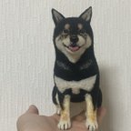 作品柴犬