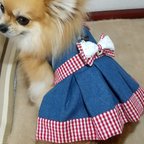 作品☆オシャレ犬服ハーネス☆リバーシブル 