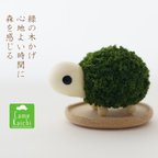 作品深緑の森・苔玉かめちゃん