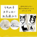 作品うちの子（愛犬）ステッカー　名前入り