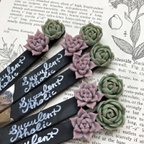 作品多肉粘土のピンセット　黒　～Tweezers with claysucculents black～