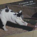 作品ネコの住む街～笹塚 Sasazukan Cats Vol.2写真展図録