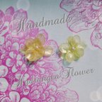 作品Hydrangea flower yellow Pias Earrings