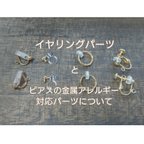 作品《イヤリング金具》と《ピアスの金属アレルギー対応》について