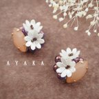 作品AYAKA/hana❋