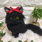 作品黒猫ちゃんと龍🐲ちゃん