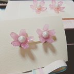 作品桜☆イヤリング