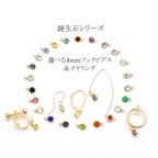 作品【大人気】幸せの誕生石フックピアス＆イヤリング（４ｍｍ）＊14KGF＊