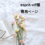 作品esprit-vif様専用ページ