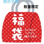 作品【数量限定】男の子用ベビークリップ福袋　ランダム3個入り