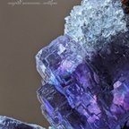 作品フローライトONクォーツ・原石クラスター（蛍石）スペイン産 ｜La Viesca Mine, Asturias, Spain｜Fluorite｜ オールドストック（レア商品）